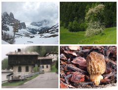 Zwischen Winter und Frühling