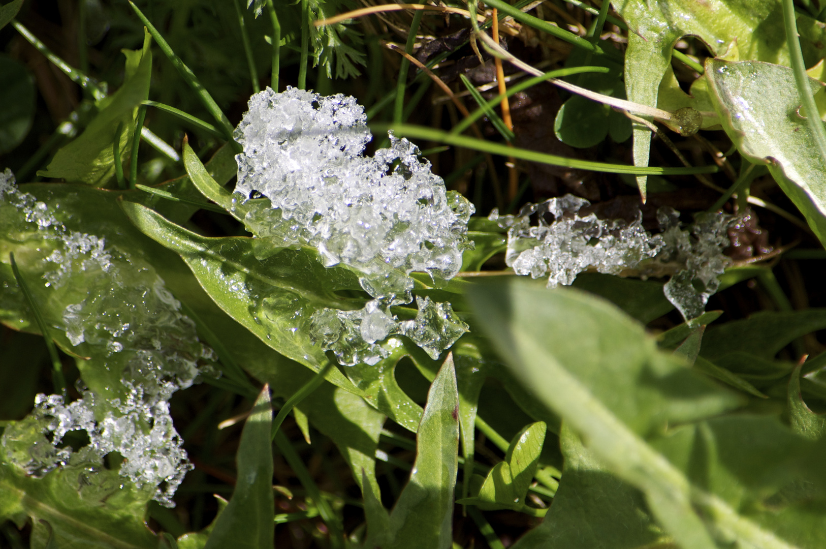 zwischen Winter und Sommer