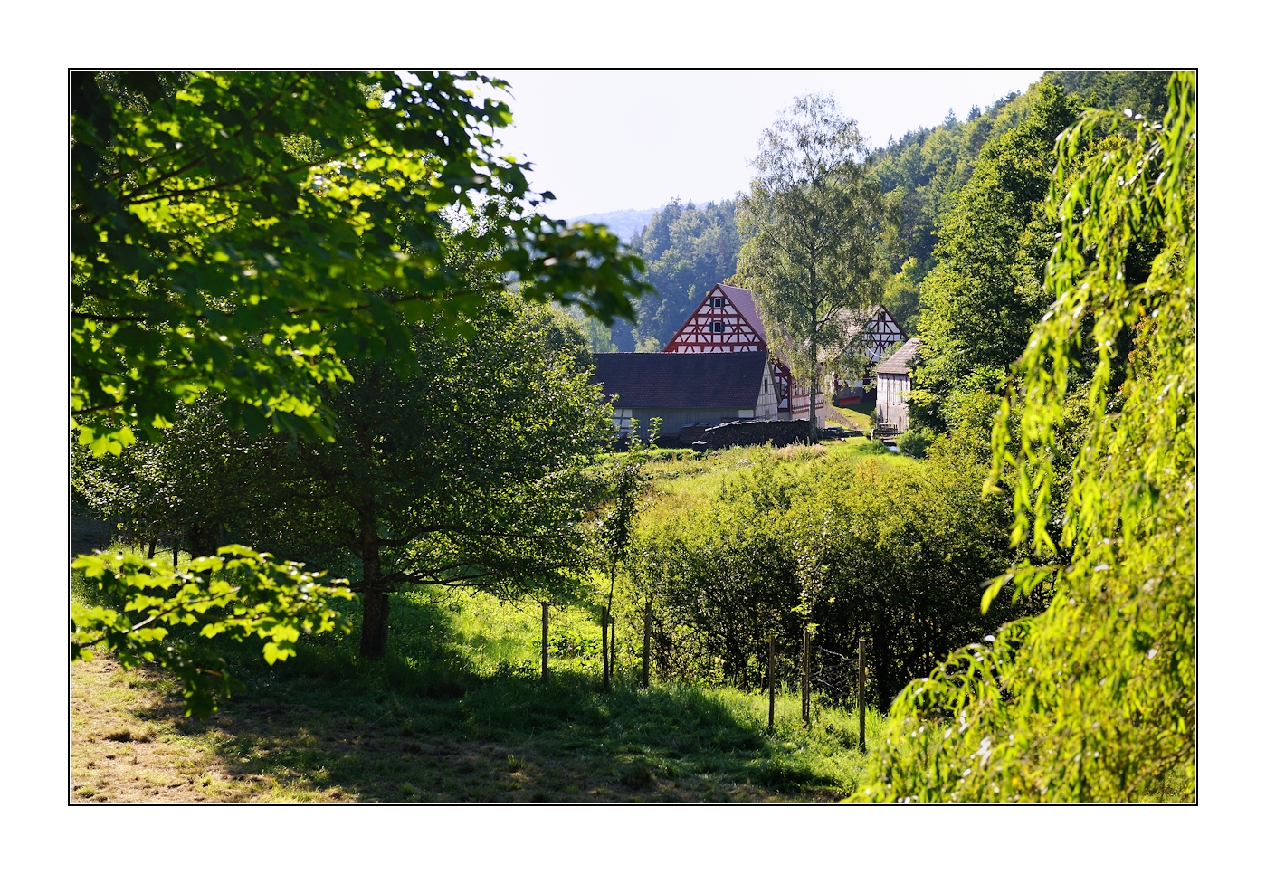 zwischen wolfsberg und obertrubach