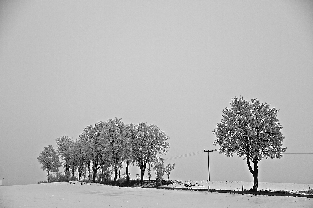 Zwischen Wollomoos und Xyger...