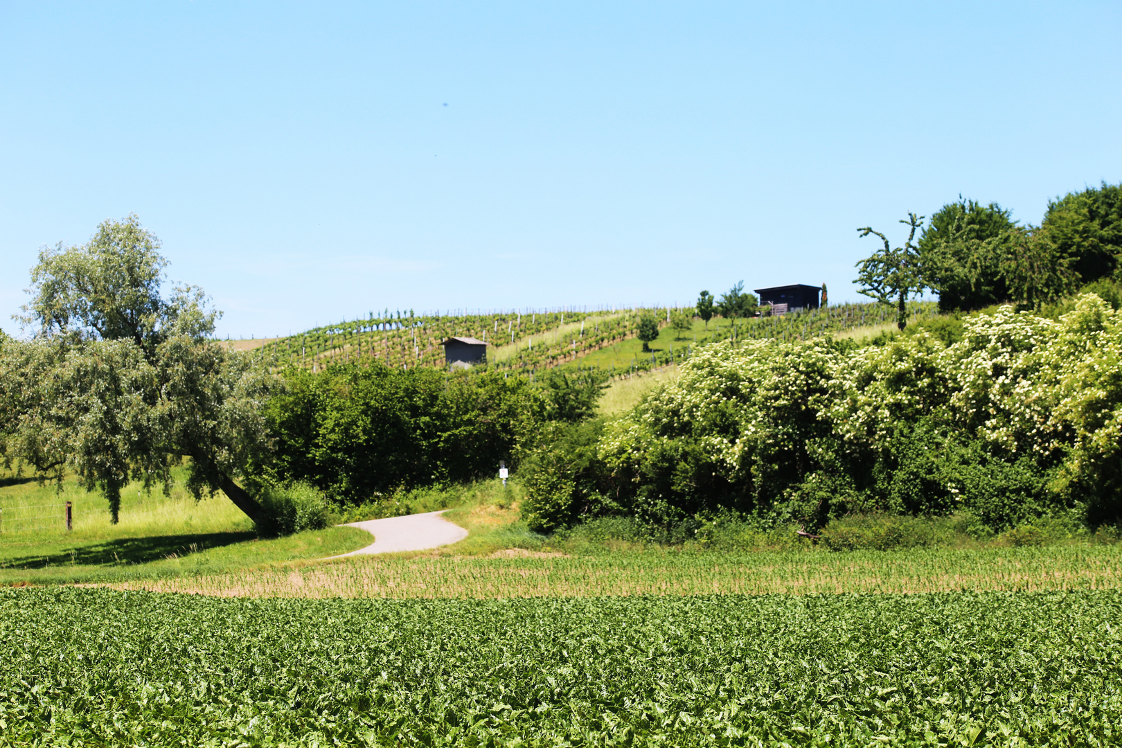 Zwischen Zeutern und Stettfeld