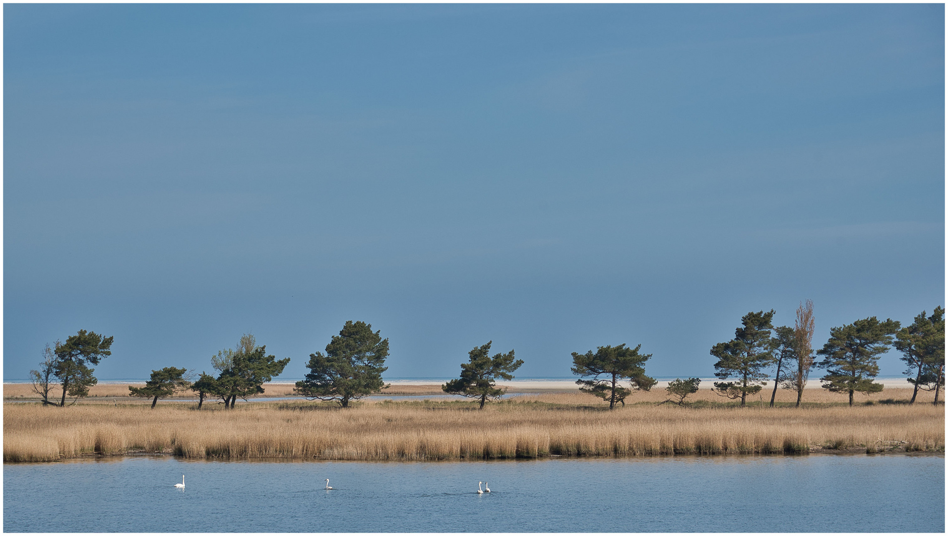 Zwischen Zingst und Hiddensee