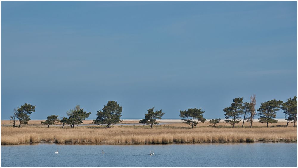 Zwischen Zingst und Hiddensee