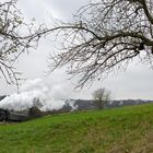 Zwischen zwei Apfelbäume passt immernoch ein Zug