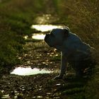 Zwischen zwei Regengüssen