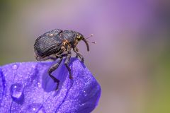 Zwischen zwei Regenschauern!