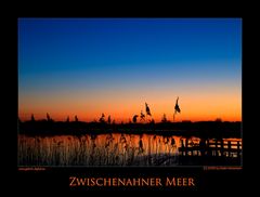 Zwischenahner Meer 2