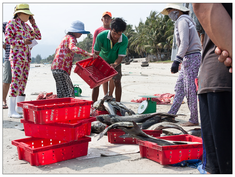 Zwischendurch gesehen: Fischmarkt auf vietnamesich