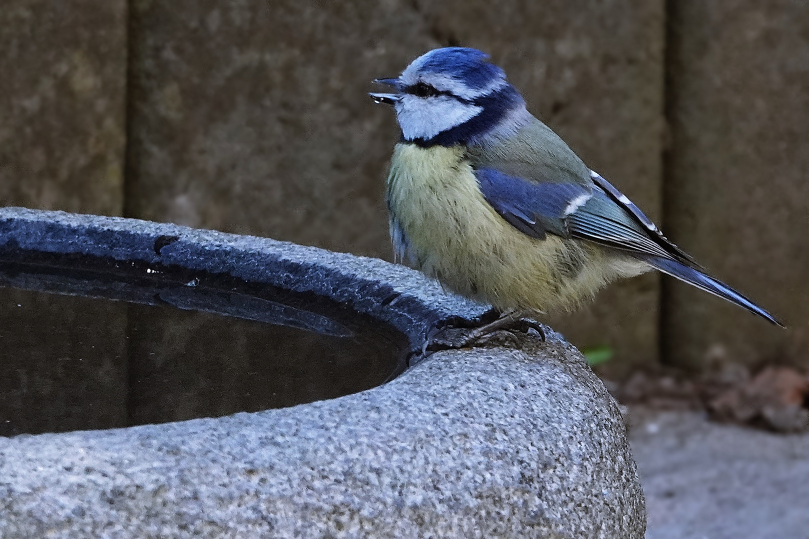 zwischendurch mal einen Schluck Wasser 