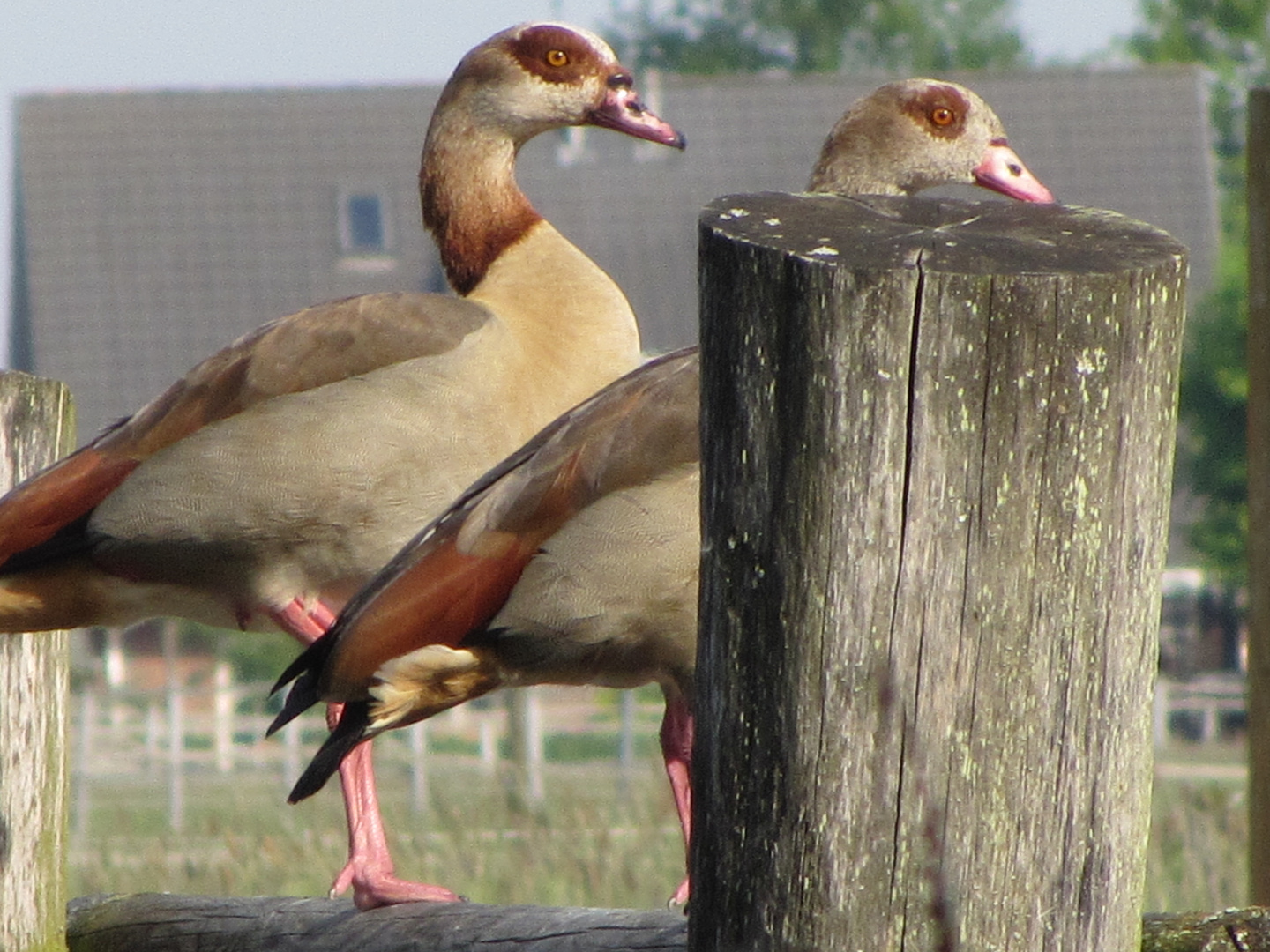 Zwischenstop