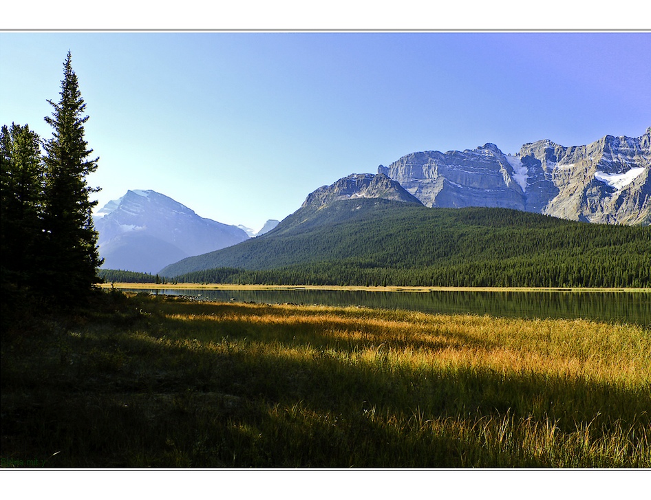 Zwischenstop am Icefield Parkway