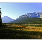 Zwischenstop am Icefield Parkway