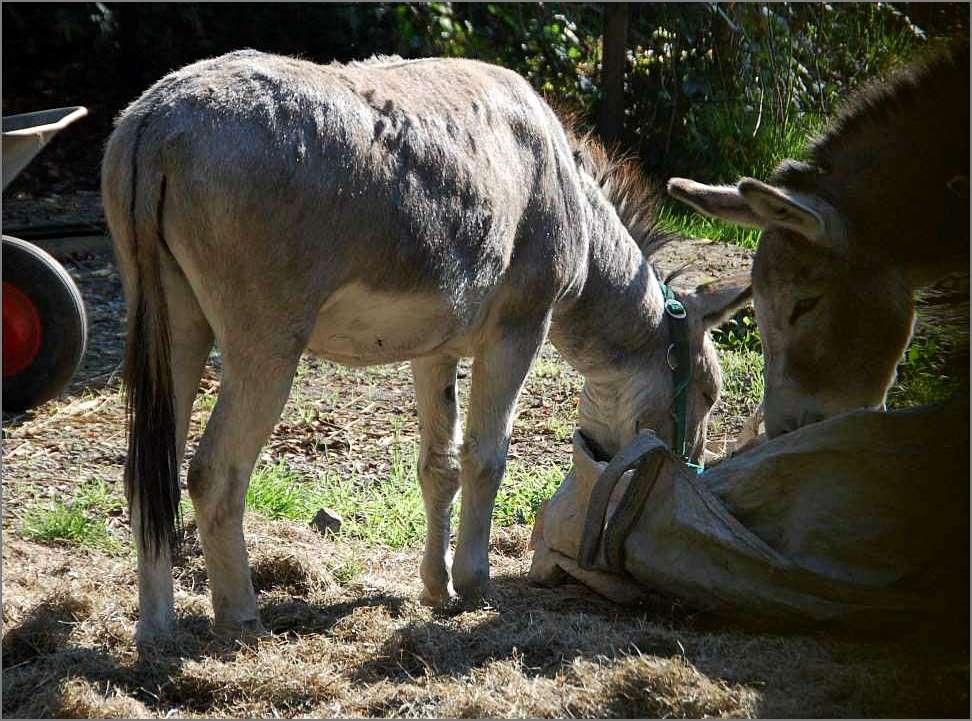 Zwischenstopp auf dem Weg nach Bethlehem