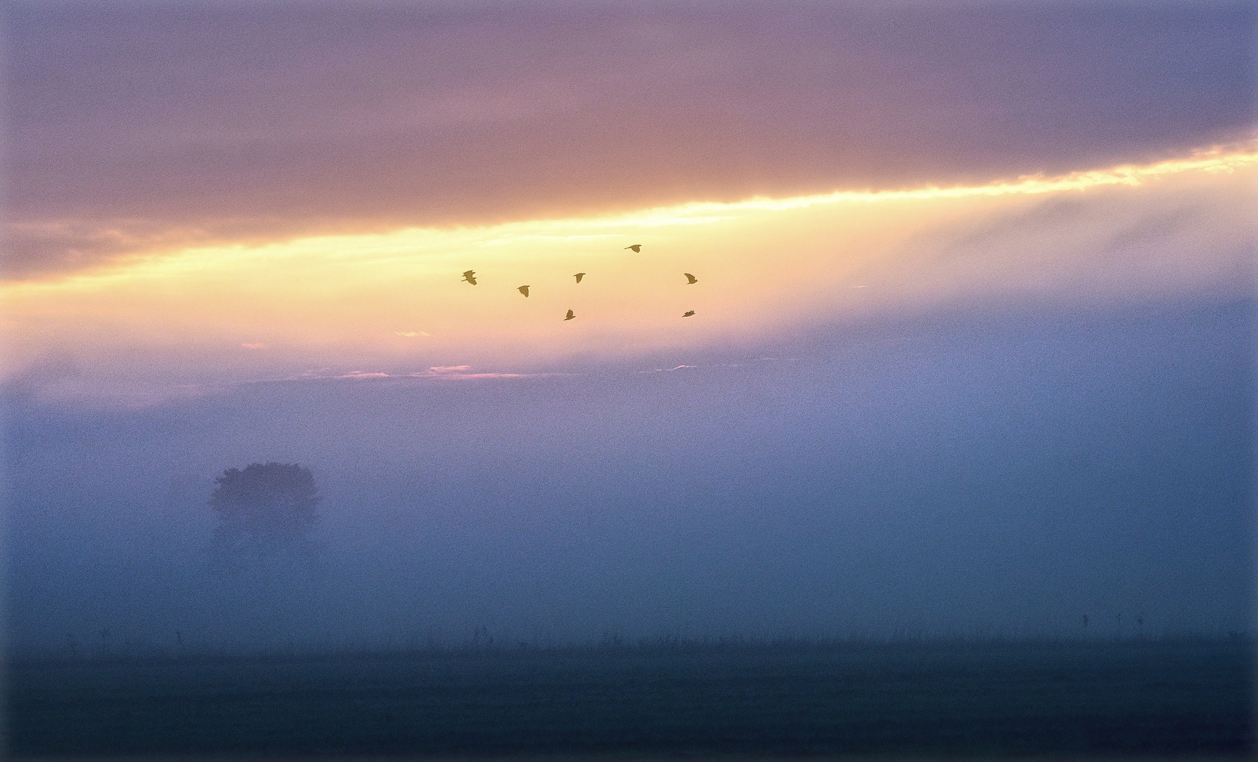 ZwischenWelten