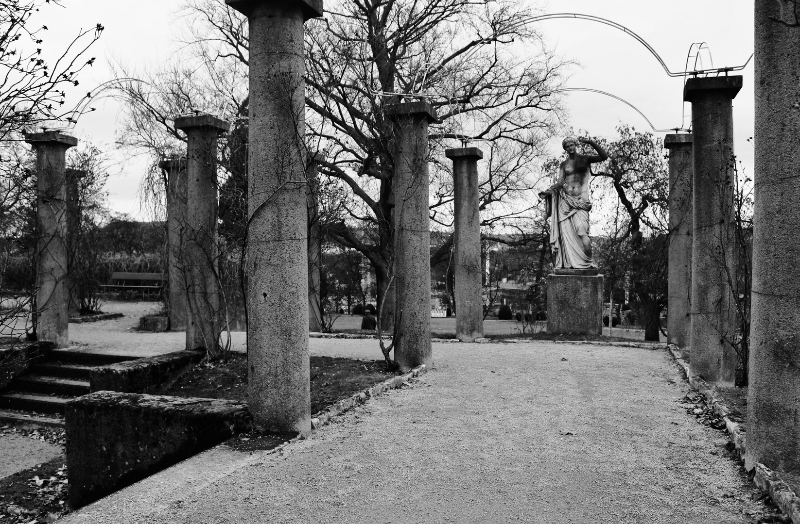 Zwischenzeiten im Rosensteinpark