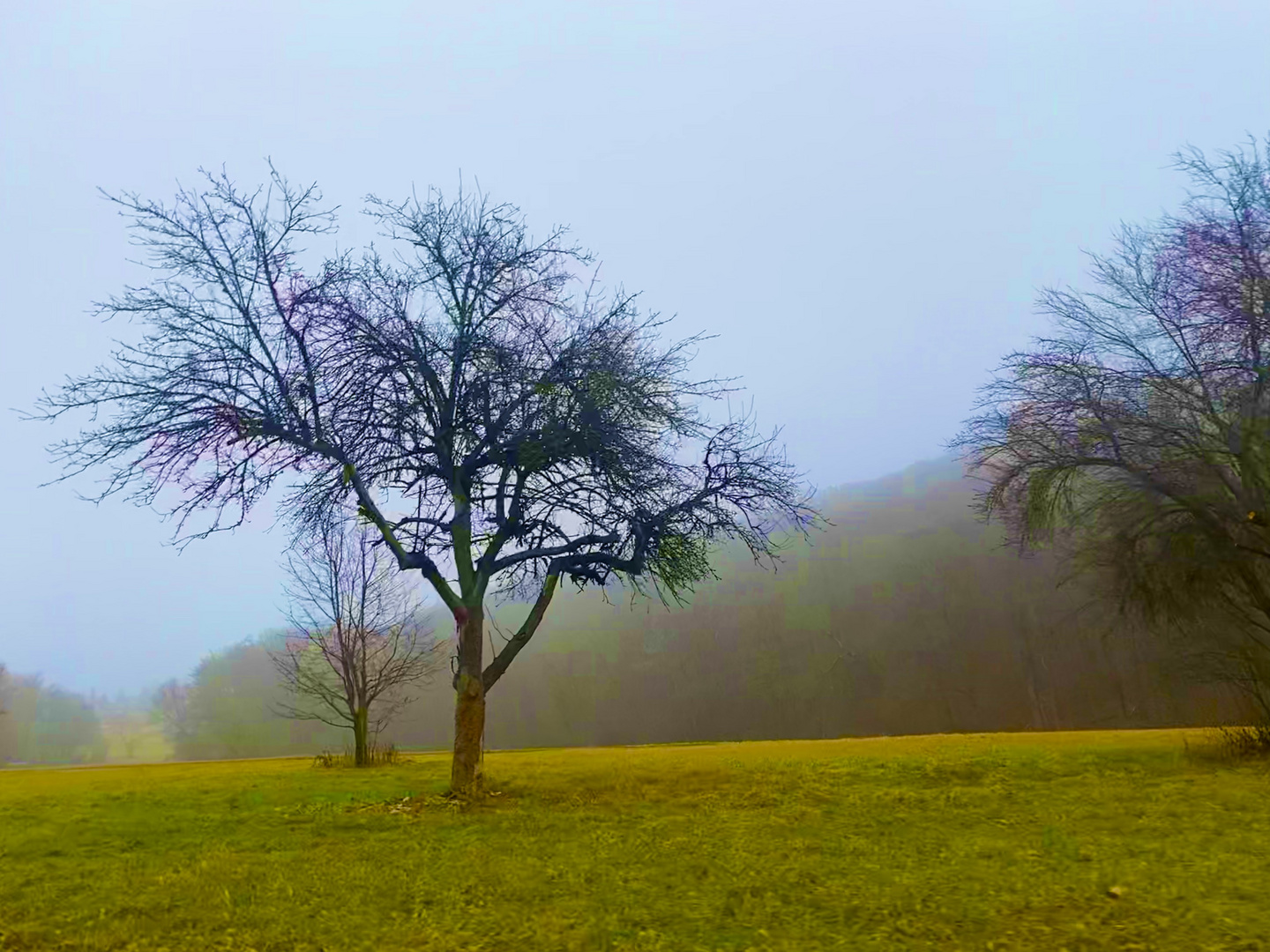 Zwischenzeiten in der Natur 