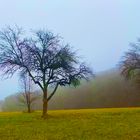 Zwischenzeiten in der Natur 