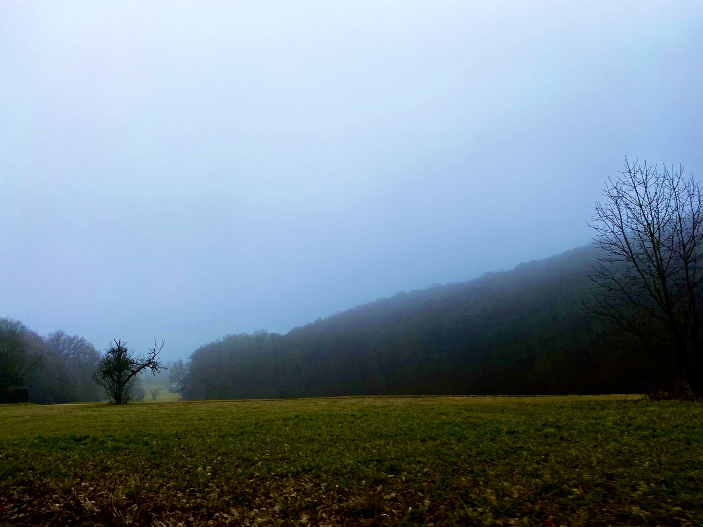 Zwischenzeiten in der Natur 