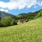 Zwislar,Tirol