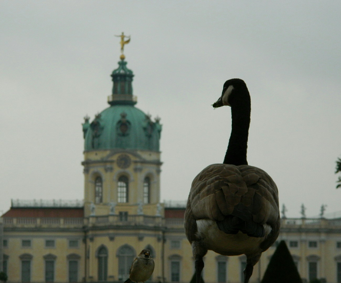 Zwitscherei im Schlosspark