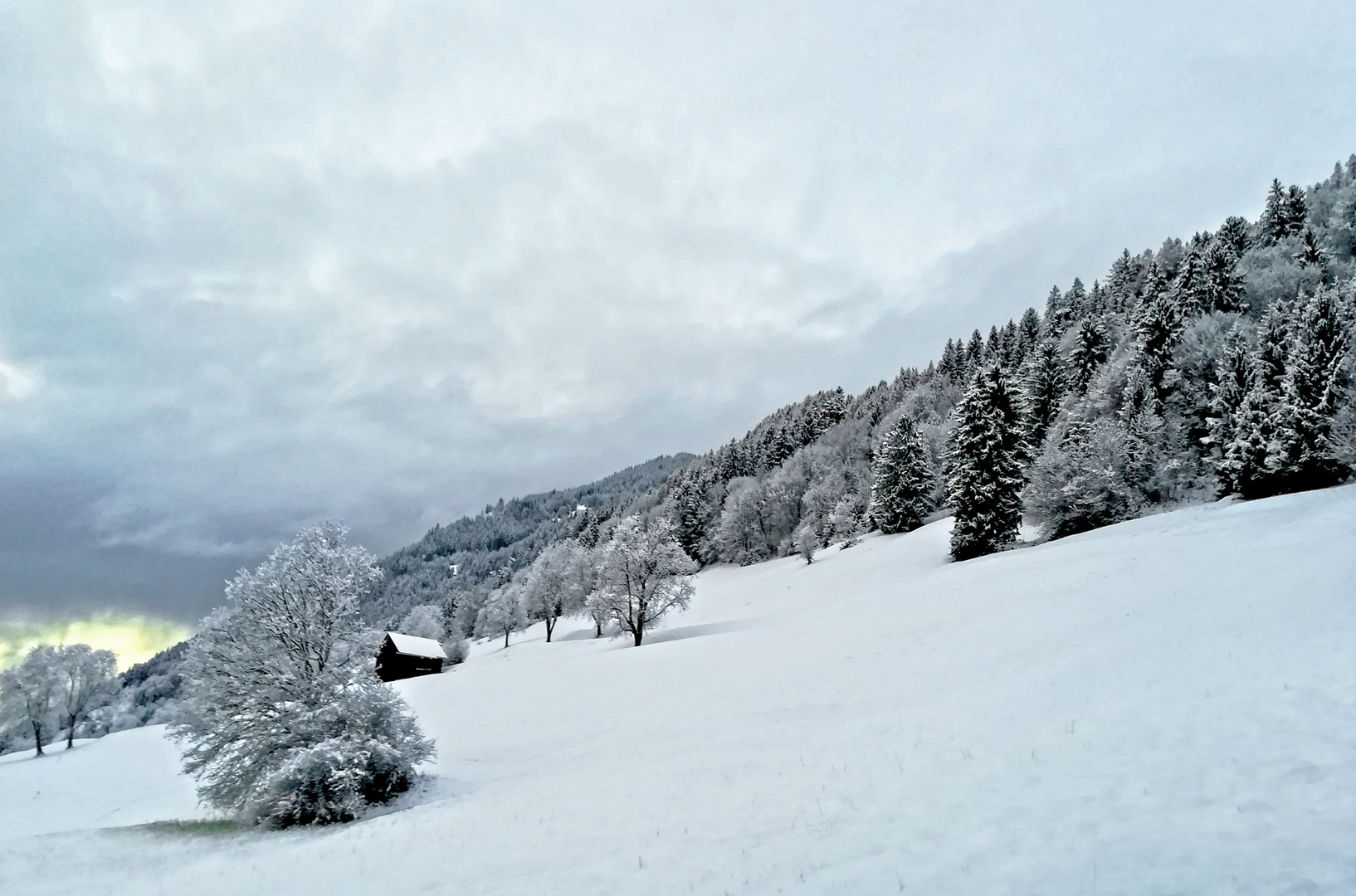 ...Zwoa Brettln, a gführiger Schnee, juchhee