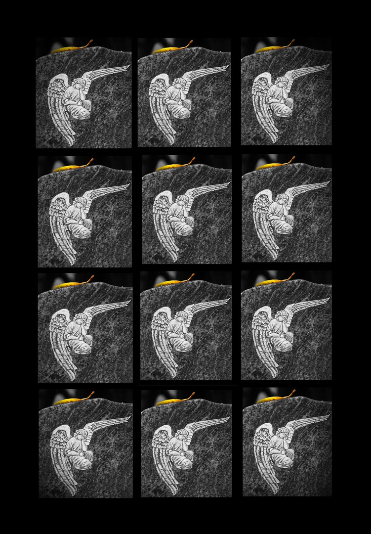 Zwolf Foto Bild Trauer Motive Bilder Auf Fotocommunity