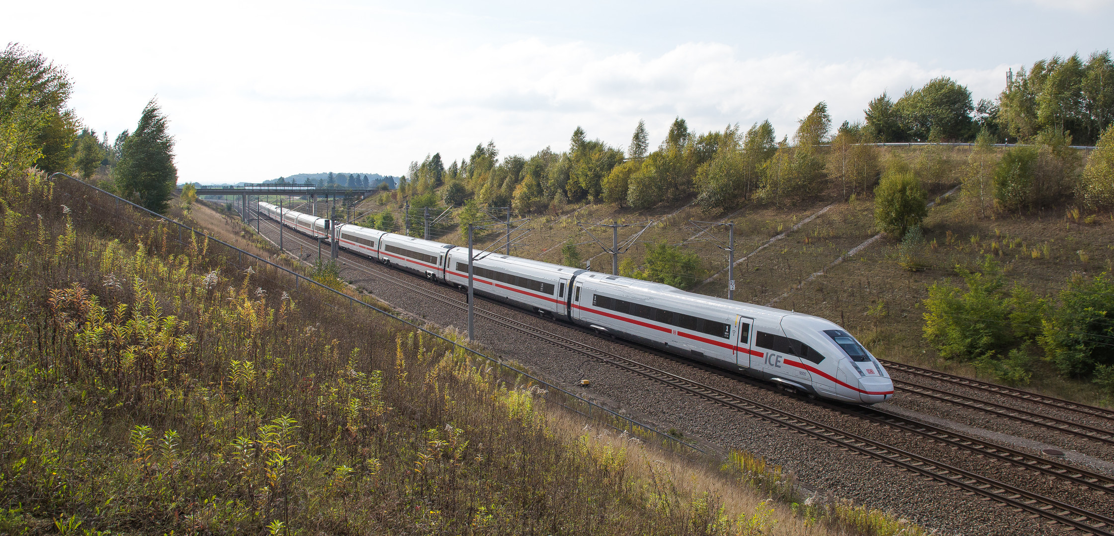 "Zwölfender" unterwegs (1)