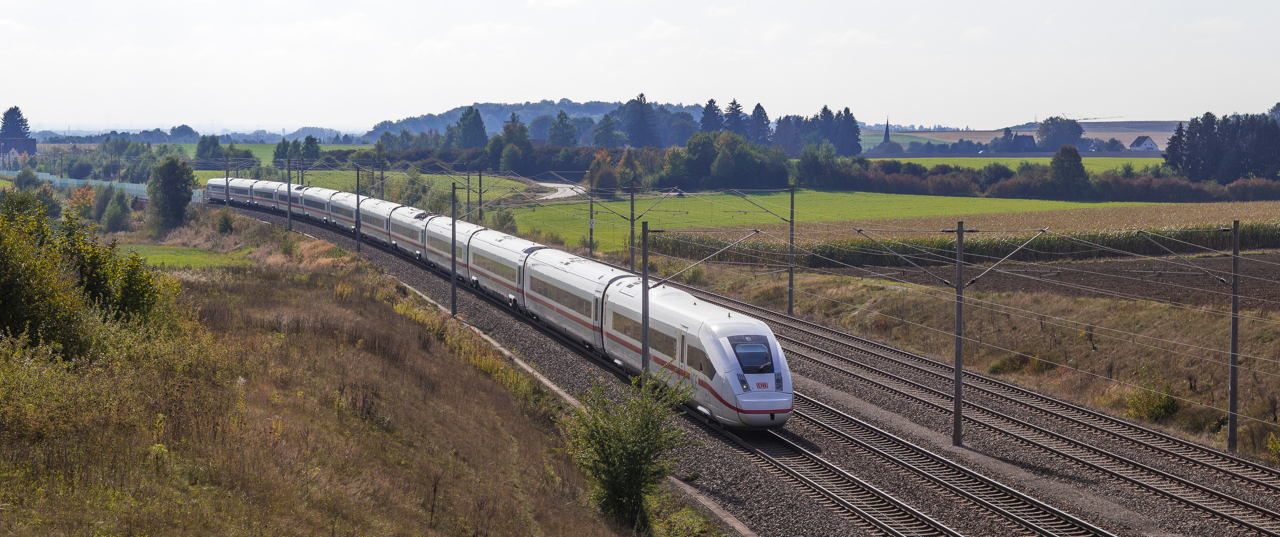 "Zwölfender" unterwegs (2)