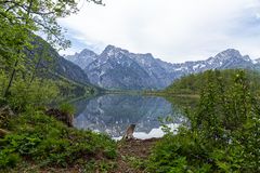 Zwölferkogel