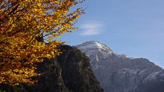 Zwölferkogel im Herbst