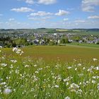 Zwönitz im Frühling