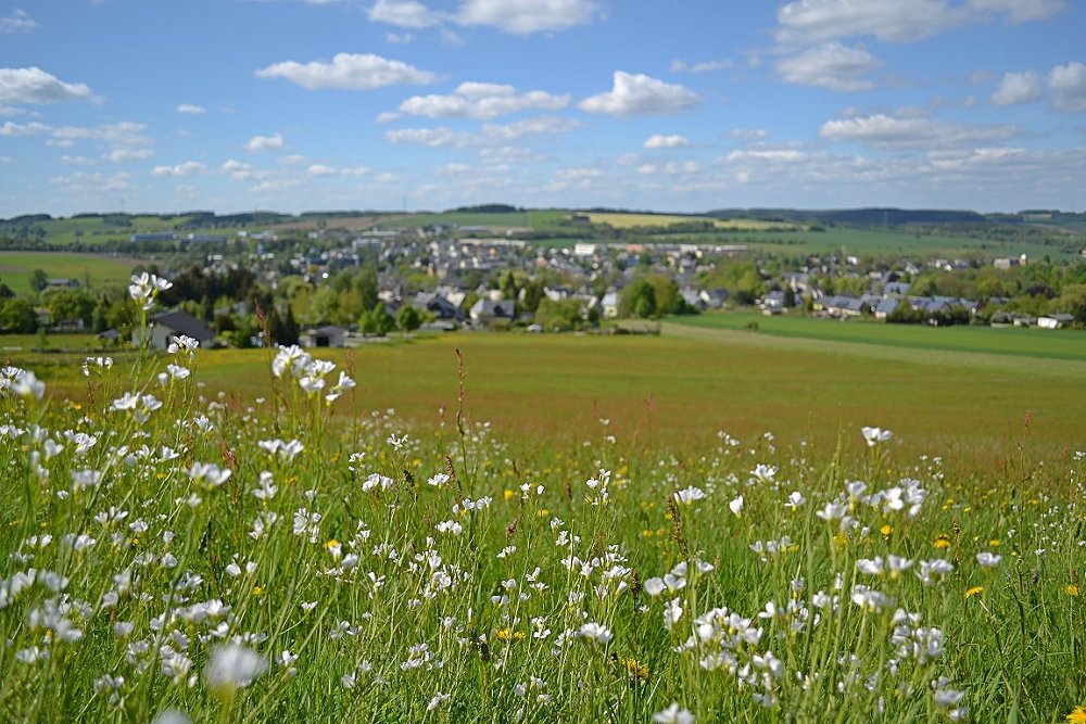 Zwönitz im Frühling