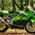 ZX9R im Eigenen Design