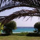 Zypern - Aya Napa - Am Nissi Beach..