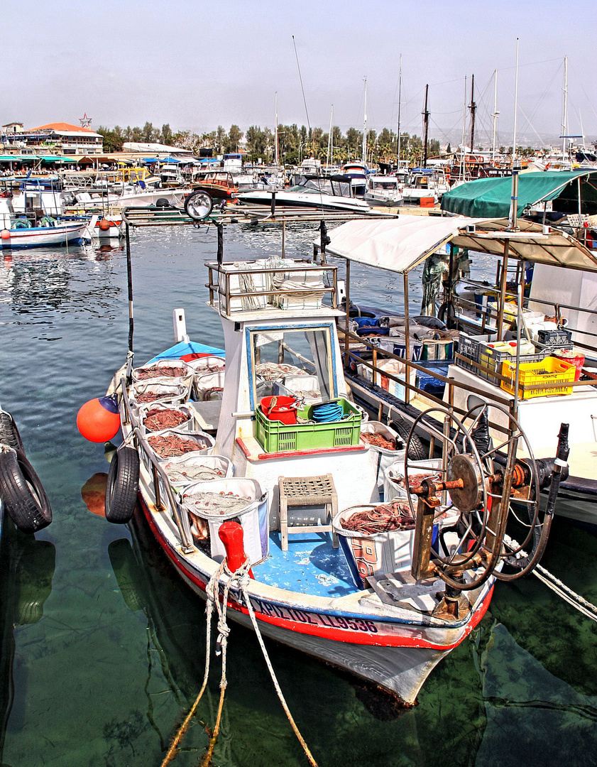 Zypern Paphos -Hafen 7