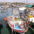 Zypern Paphos -Hafen 7