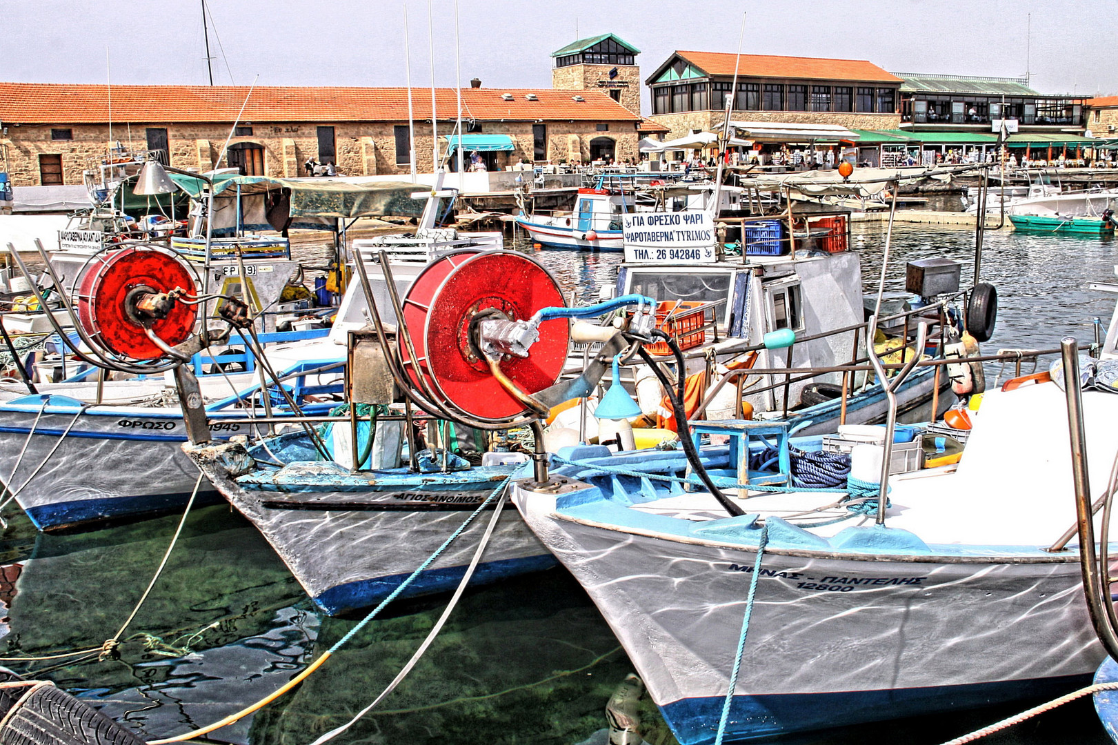 Zypern Paphos -Hafen 8