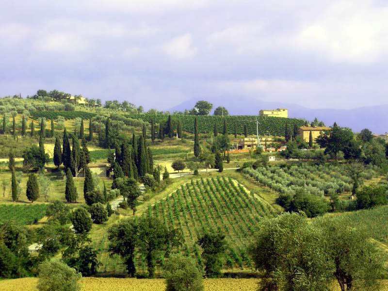 The Enchanting Beauty of Bild Toskana Zypressen: An Artistic Odyssey