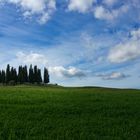 Zypressen von Val d`Orcia