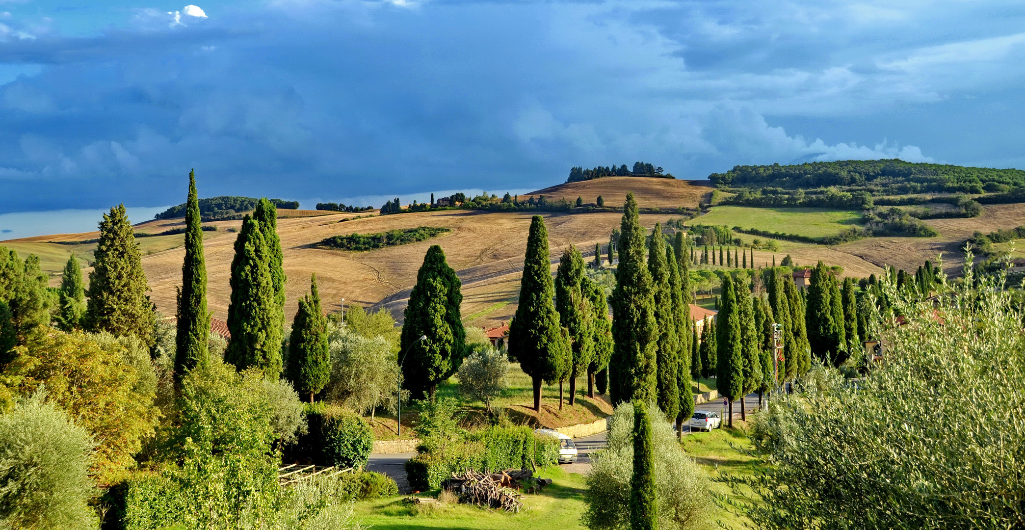 Zypressenallee bei Montepulciano.