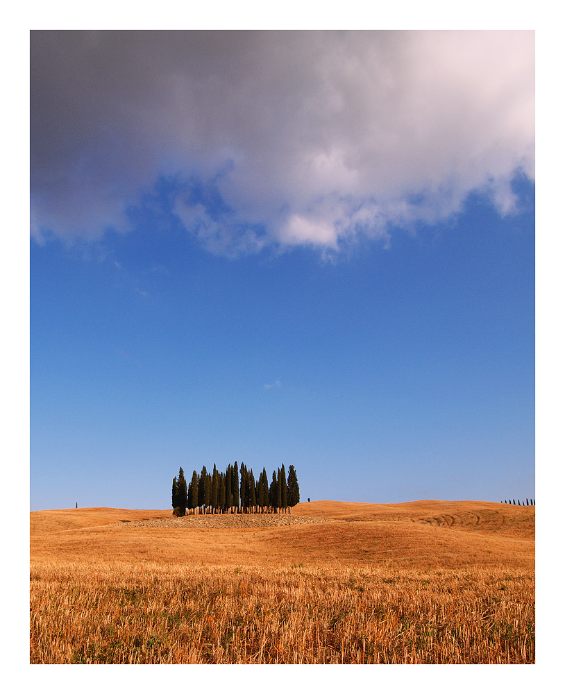 Zypressengruppe "Santa Maria" bei San Quirico d'Orcia