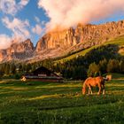 "Zyprianhof" am Rosengarten