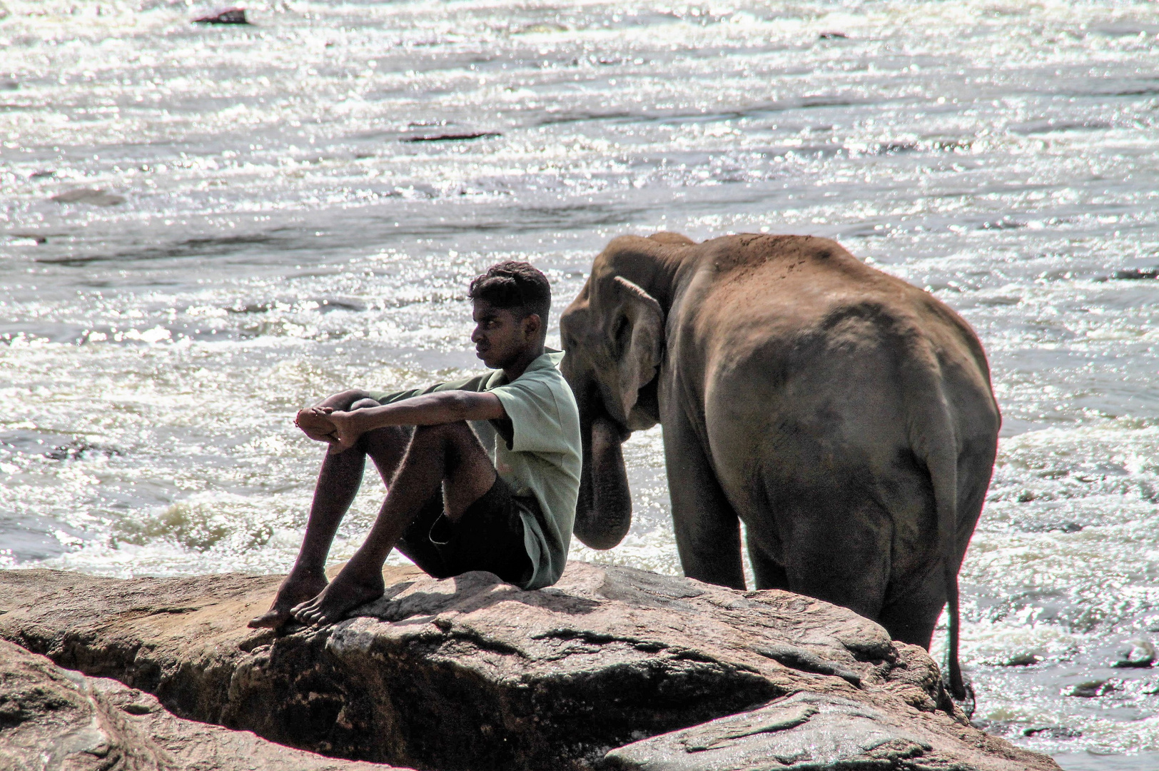 zzP_SriLanka Mann Elefant -ca500D-8212-V4ok